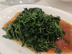 -粤味馆(黄河路店)