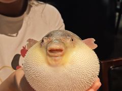 河豚宝宝-永安鱼庄·镇江菜(东吴路店)