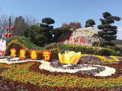 -洛龙公园