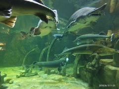 -华夏文旅海洋公园