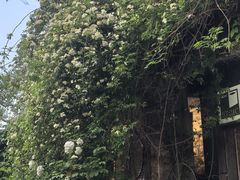 -斯多格书乡(北京大学畅春园店)