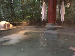 -天目湖御水温泉·度假酒店