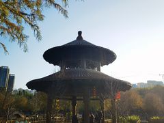 -五缘湾湿地公园