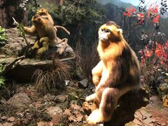 -陕西自然博物馆