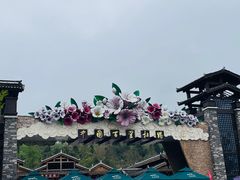 -贵州百里杜鹃风景名胜区