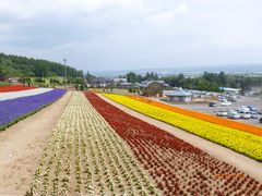 -富田农场