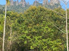 -七仙岭温泉国家森林公园