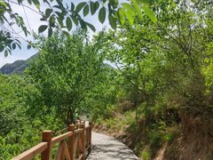 -大岭沟猕猴桃谷风景区
