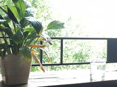 -么哈MOJAR(北京五道口店)