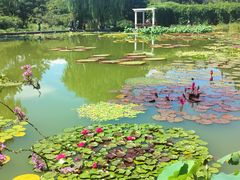 -国家植物园南园