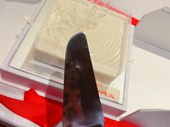 -BLACKSWAN黑天鹅(环球店)