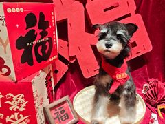 -悠尼宠物·独立低压伊珊娜洗护·美容·寄养(兰谷路店)