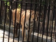 -广东茂名森林公园