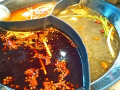 -杨家火锅(国美店)