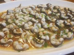 -呼吸森林·生态农庄农家乐私房菜