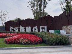 -上海滨江森林公园
