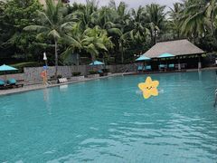 -海南清水湾莱佛士酒店