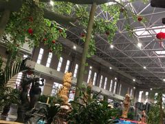 -兴芮温泉度假区