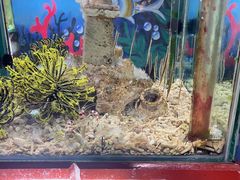 -太平洋海底世界