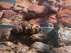 -刘纪孝腊牛羊肉(北广济街店)