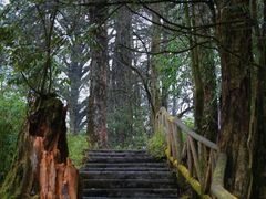 -龙苍沟森林公园