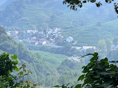 -中国茶叶博物馆(双峰馆区)