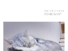 -万小咖.猫咖(中山路天虹店)