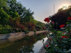 -元大都城垣遗址公园