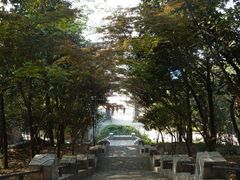 -紫金山天文台