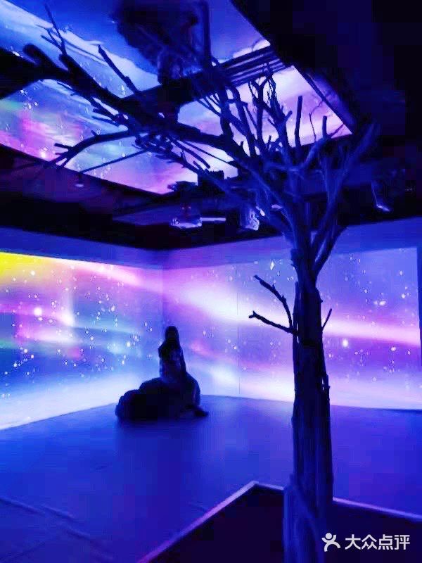 深圳探展 | 沉浸式的艺术展让人大开眼界‼️ 