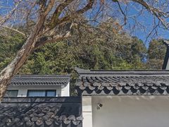 -云栖竹径