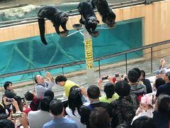 -清迈夜间动物园