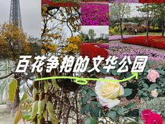 -文华公园(禅城区)
