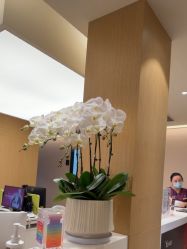 -Yestar杭州艺星医疗美容医院