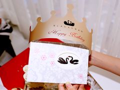 -BLACKSWAN黑天鹅(环球店)
