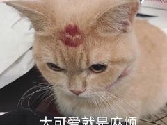 -土豆粉&刀削面(西单新一代商城店)