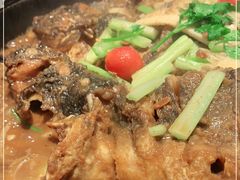 -老板恋上鱼(高新万达店)