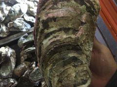 -土蚝·高压锅生蚝(百姓美食街店)