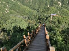 -大岭沟猕猴桃谷风景区