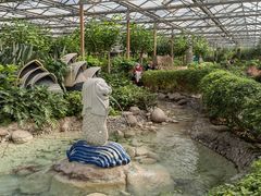 -南宫五洲植物乐园