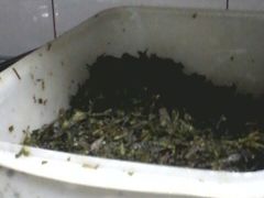 龙井菜馆-龙井壹号·茶缘山景宴(龙井村店)