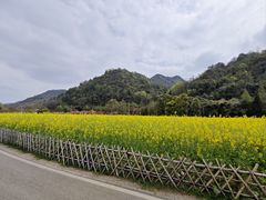 -贵阳市花溪国家城市湿地公园
