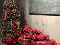 -北京三里屯CHAO酒店