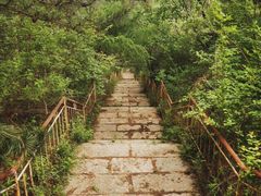 -灵山