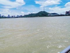 -野狸岛