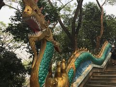 -西双版纳勐泐文化旅游区