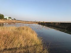 -鄱阳湖国家湿地公园