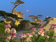 -罗红摄影艺术馆