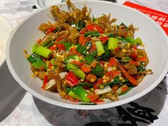 -壹盏灯(惠农店)