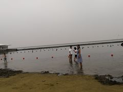 -碧海金沙